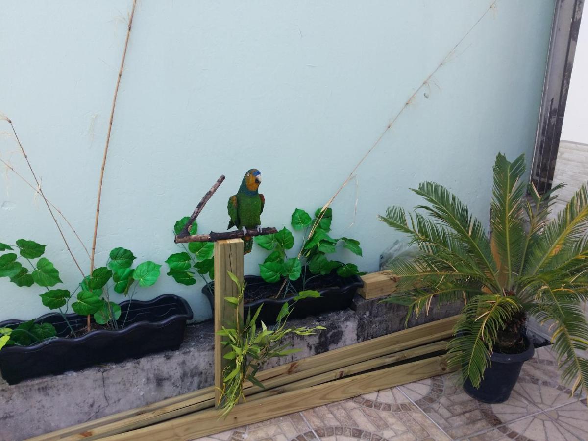 Beira Mar Hostel フロリアノポリス エクステリア 写真